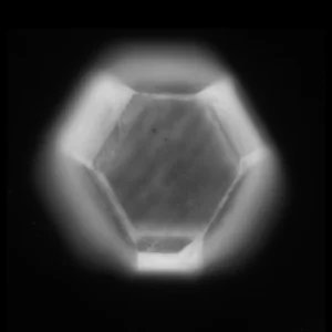 Single Particle Sensors