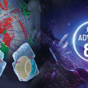 Advisor®